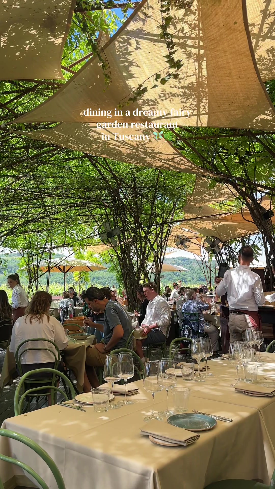 Antinori nel Chianti Classico and Rinuccio Restaurant