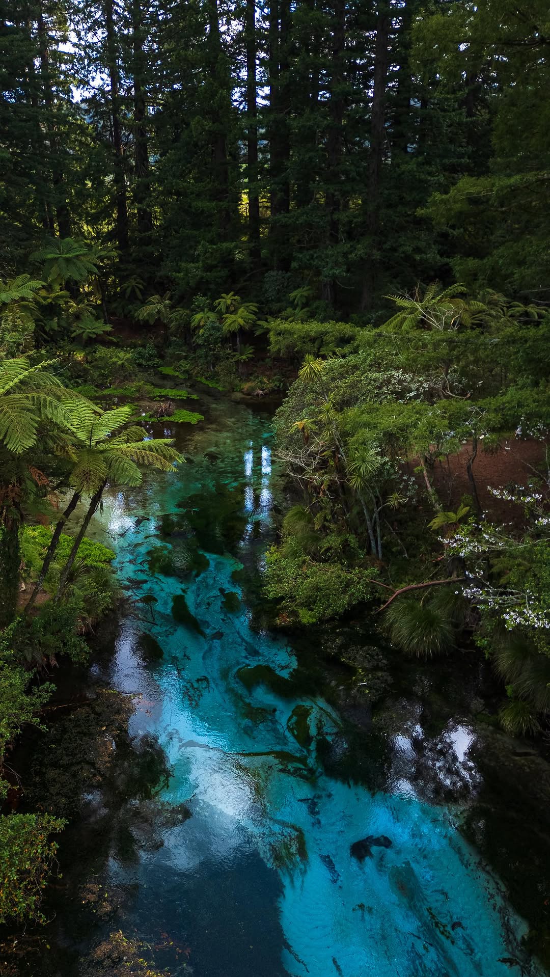 9 Landmarks in New Zealand