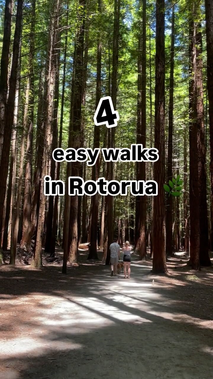 4 Places in Bay of Plenty Region