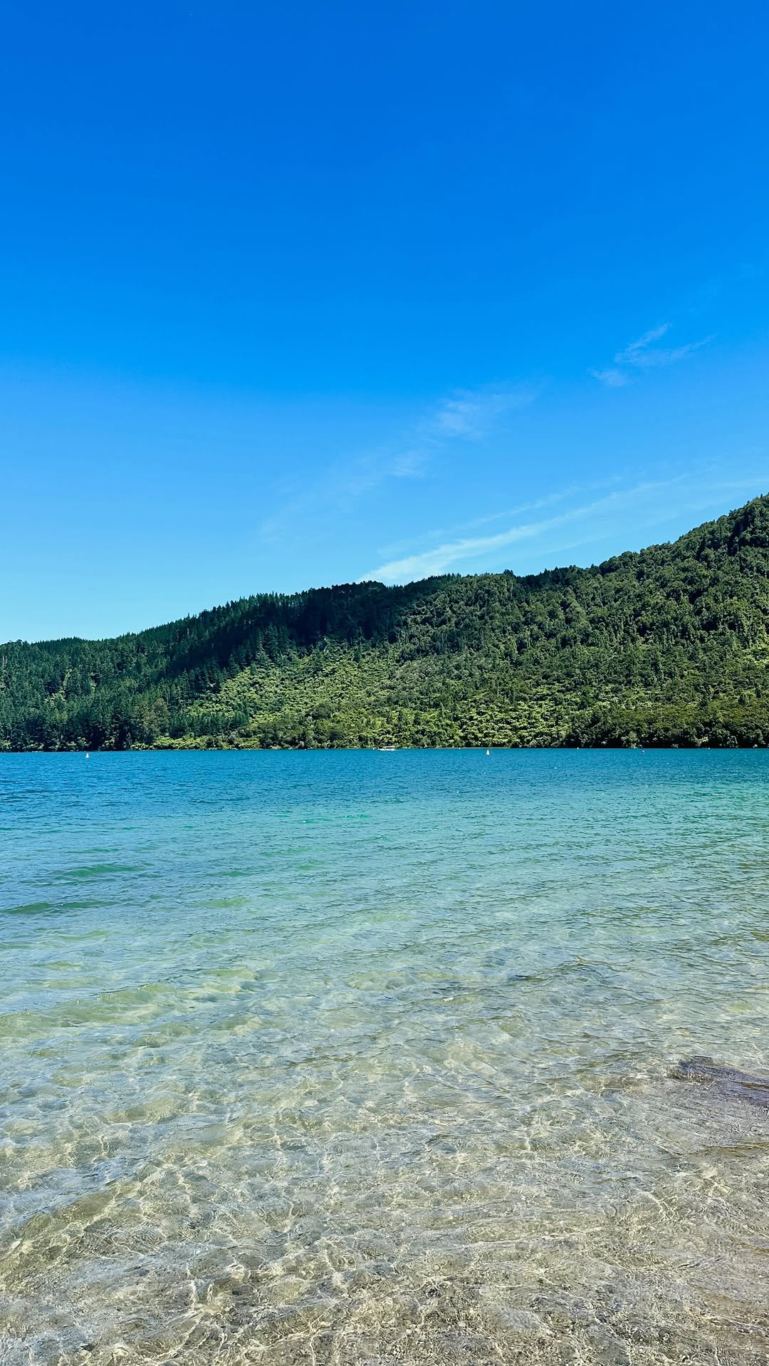 Stunning Blue Lake With Lush Green Surroundings