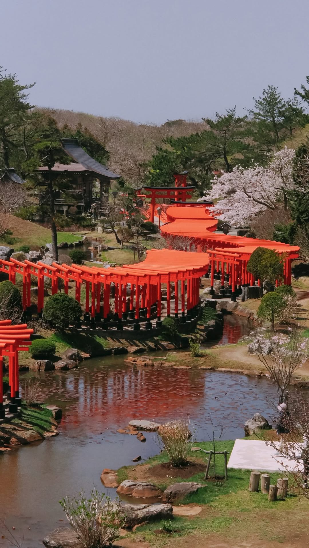 Japanese Shrines With Torii Gates