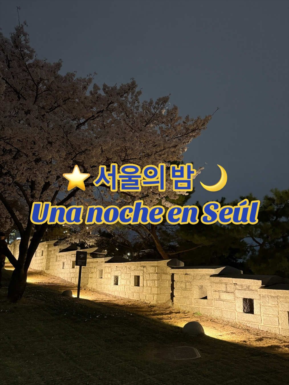 Seoul Night Walk: Park, City Wall, and Hidden Restaurant