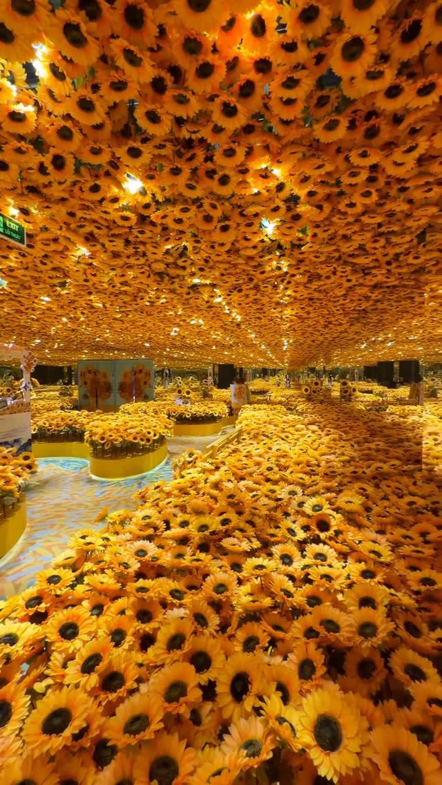 Meta Show's Sunflower Exhibit in Ho Chi Minh