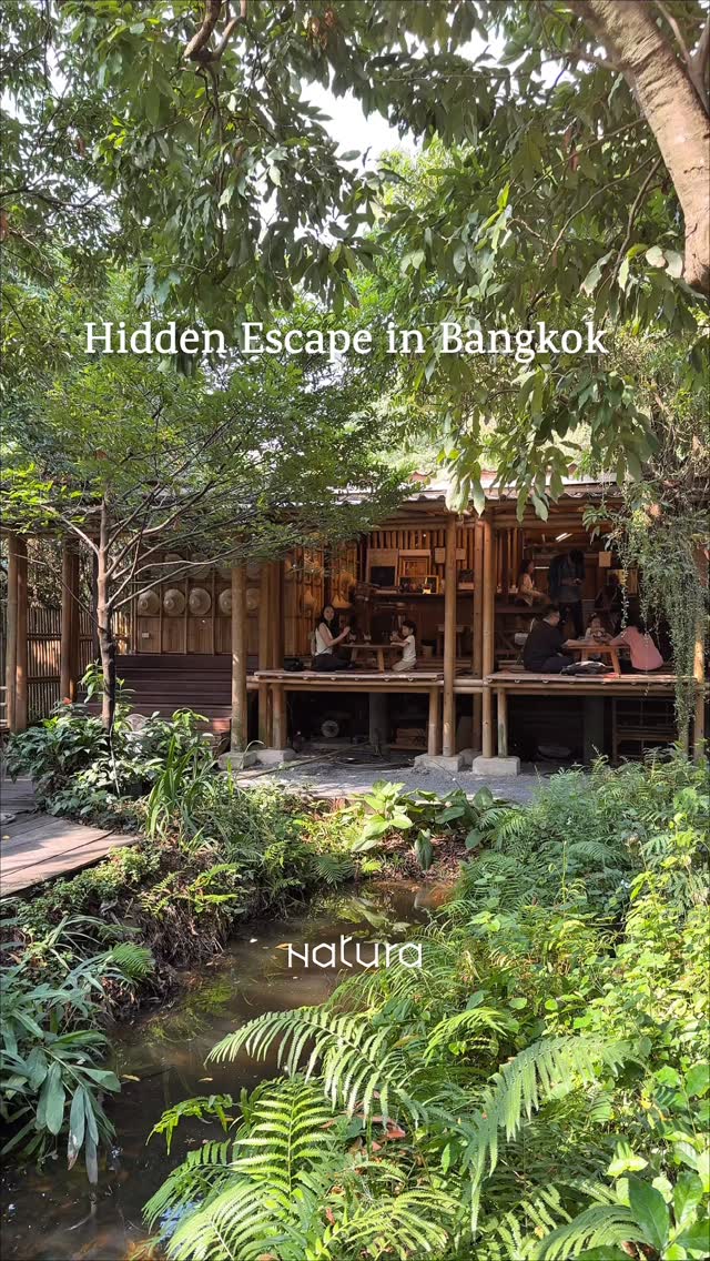 Bangkok Cafe Offers Serene Nature Escape
