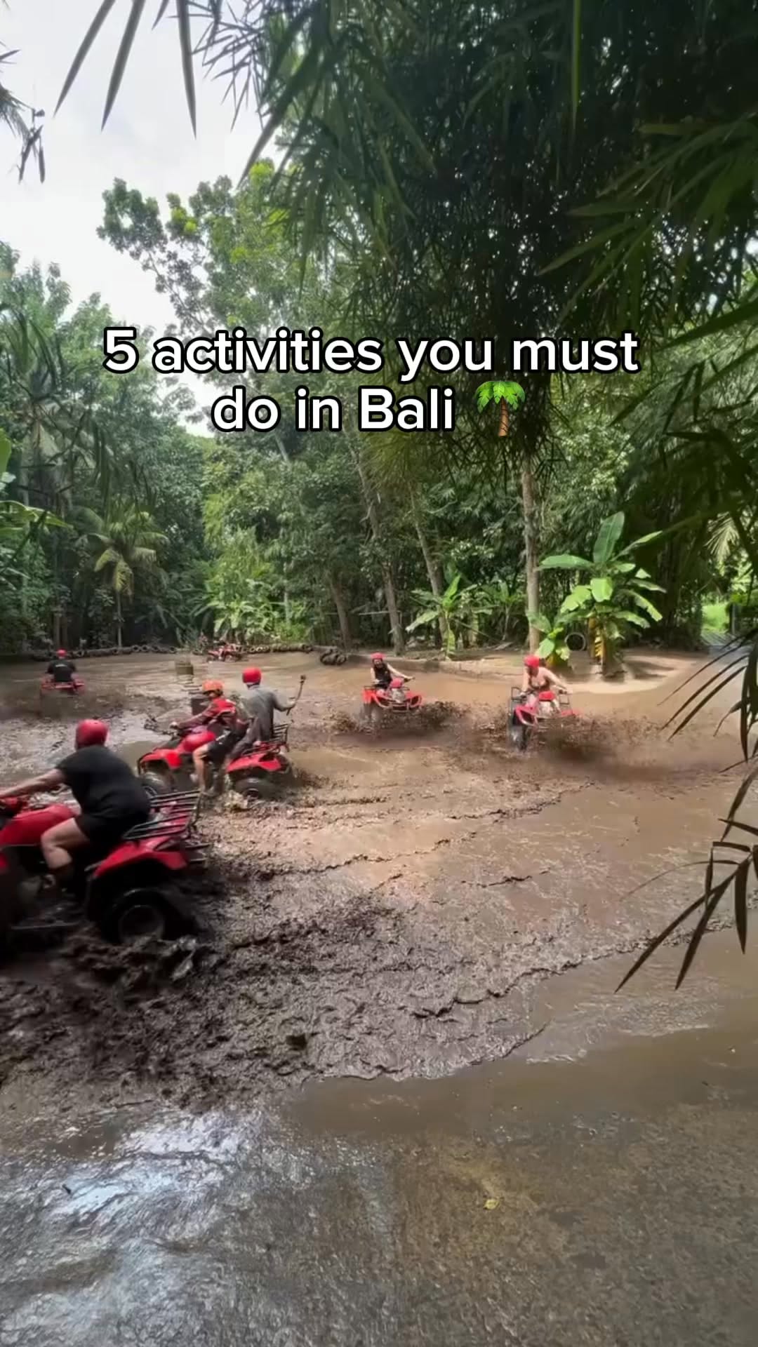 Adventures on Bali's Coastline and Jungles