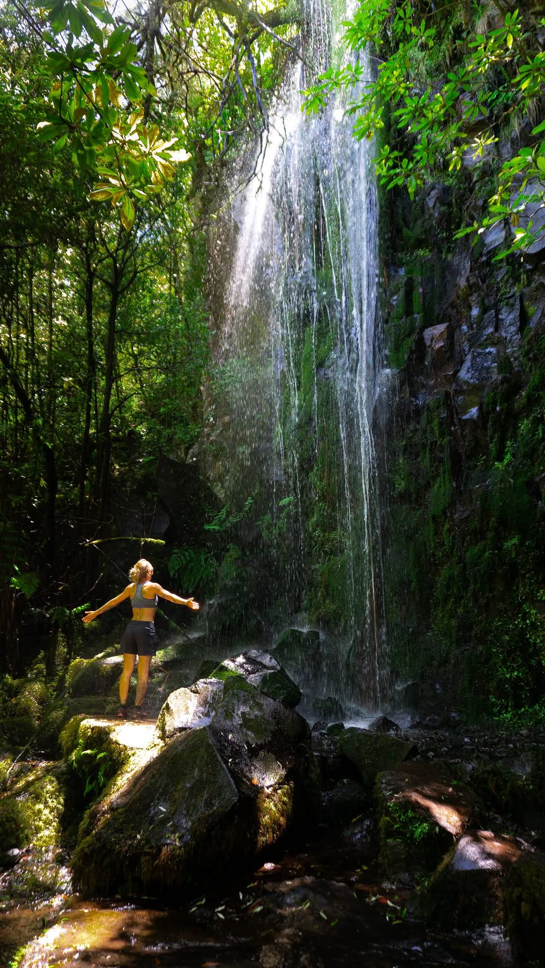 Madiera's Top Five Diverse Hiking Trails