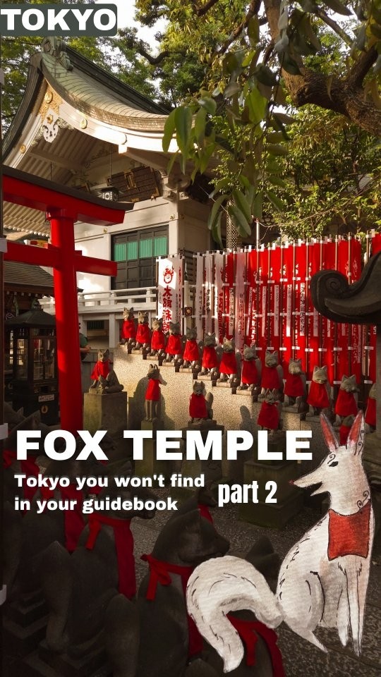 Tokyo's Serene Fox Shrine Escape