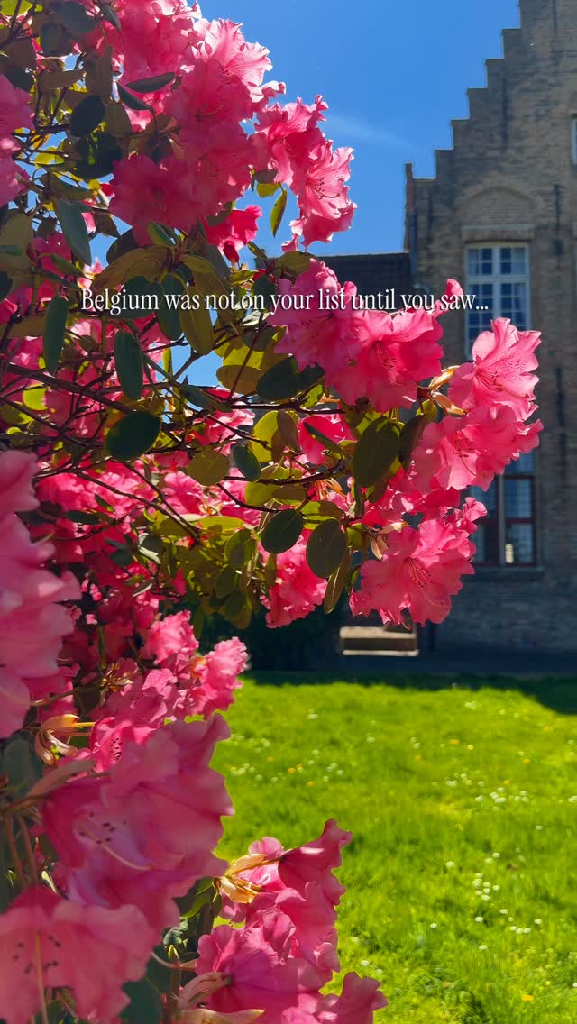 14 Places in Brugge