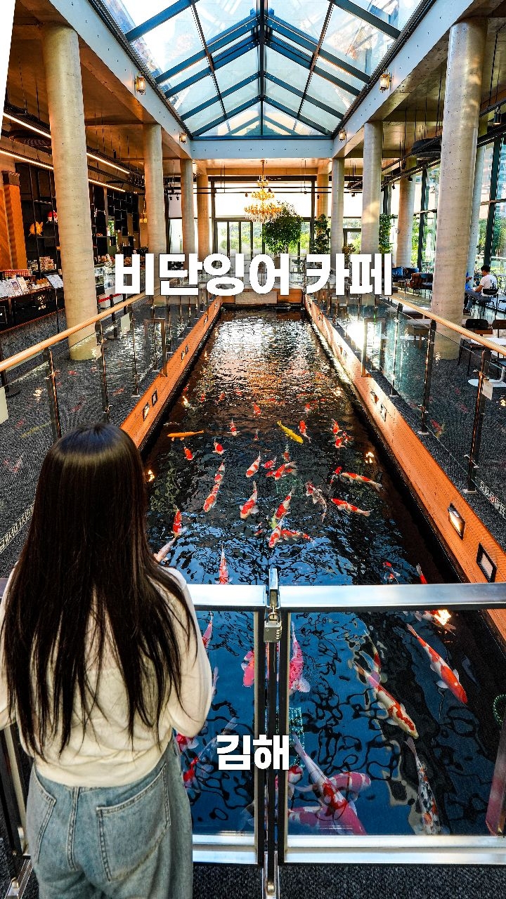 Cafe With 150 Koi Fish In Gimhae