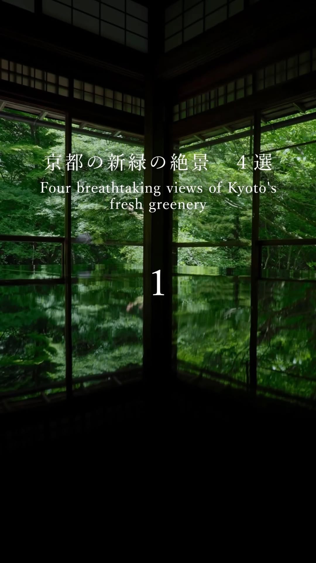 Kyoto's Temples Showcase Stunning Fresh Greenery