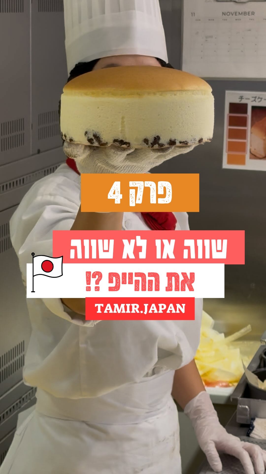 Rikuro's Japanese Cheesecake Review in Osaka