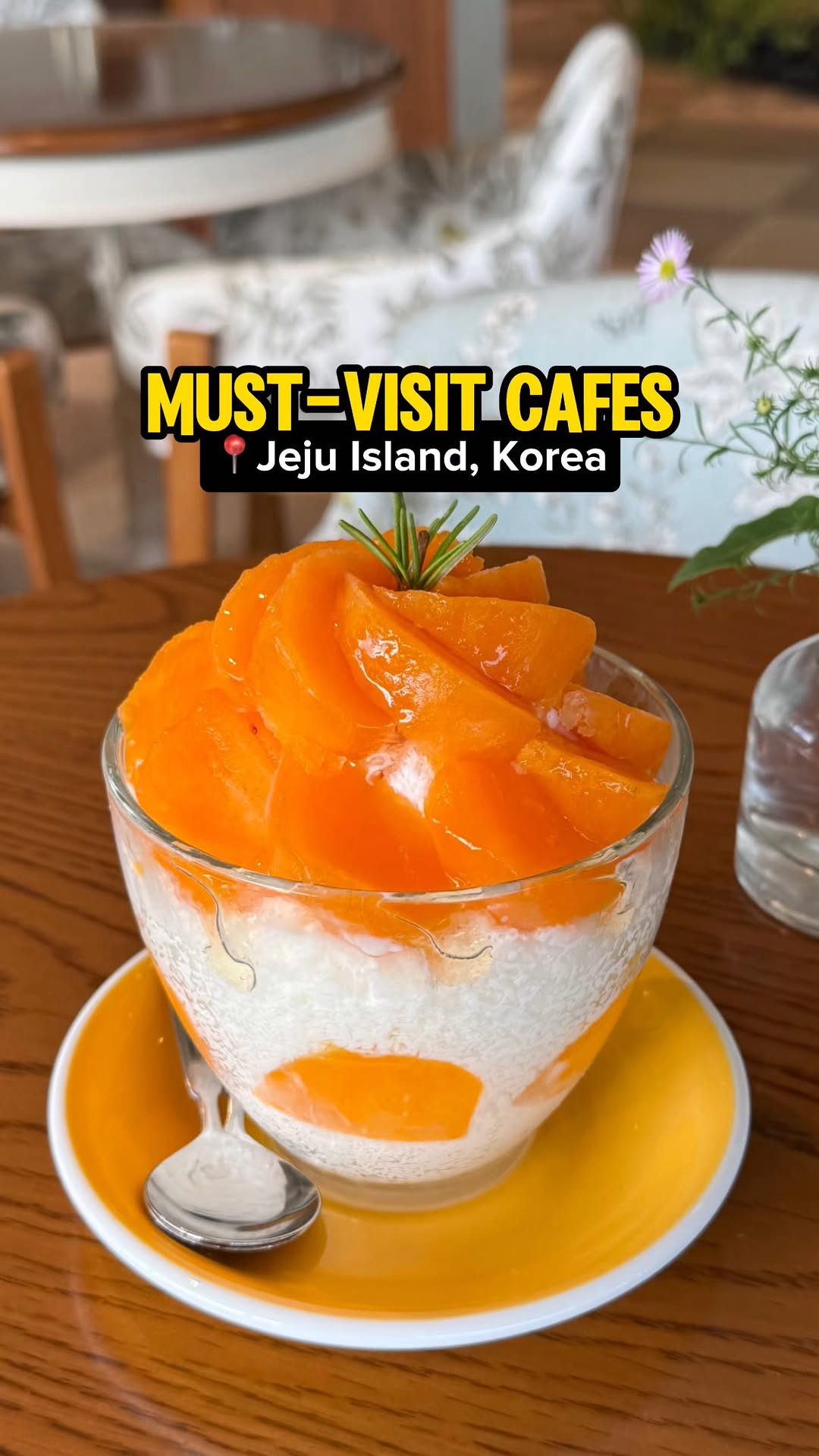 Jeju Island Cafes With Ocean Views