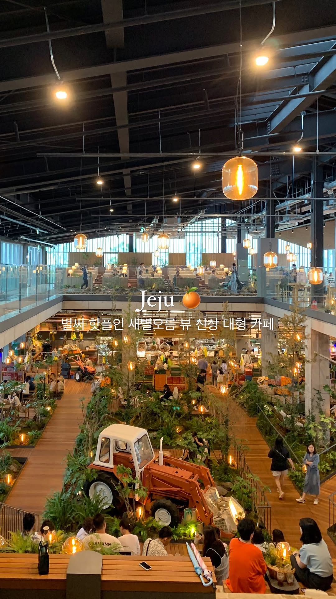6 Cafes in South Korea