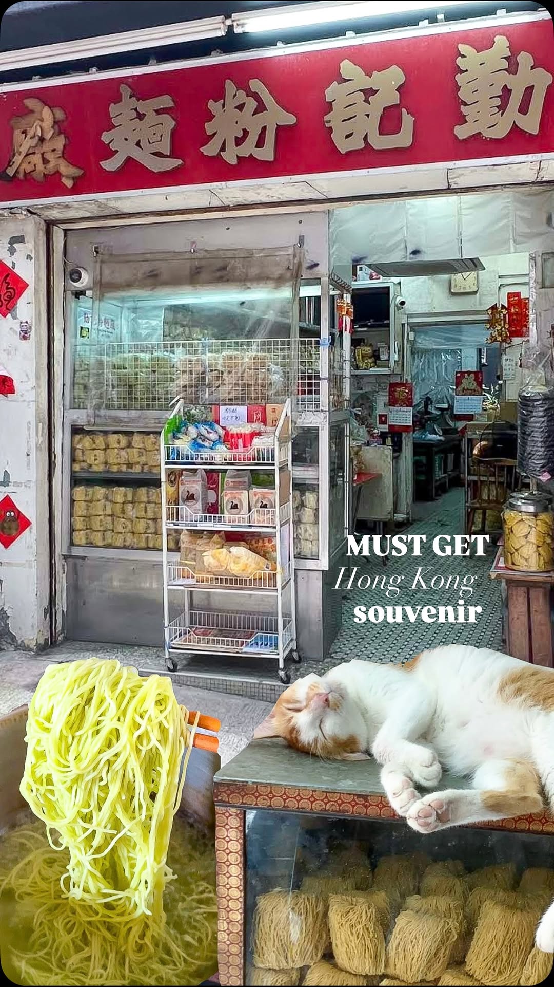 Noodle Factory's Traditional Charm