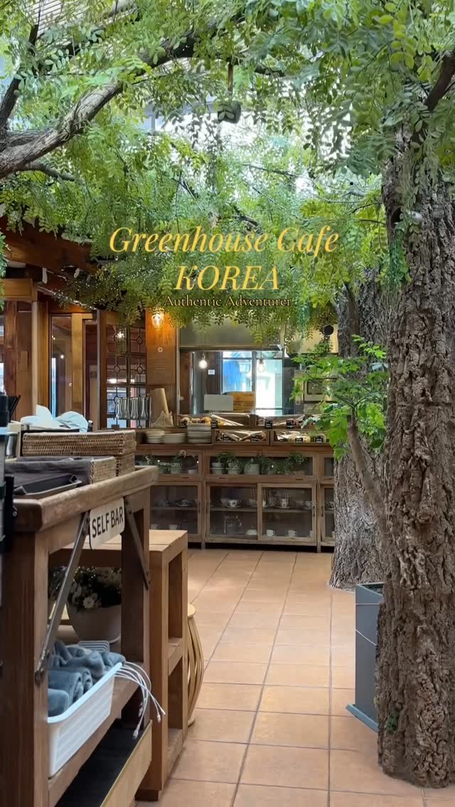 Relaxing Seoul Cafe With Cute Vibes