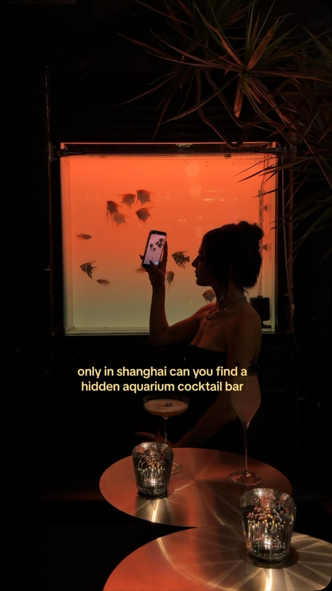 Shanghai Ocean Aquarium's Aquatic Wonders