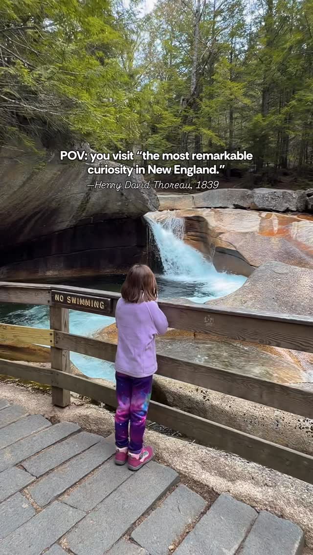 3 Nature spots in Lincoln