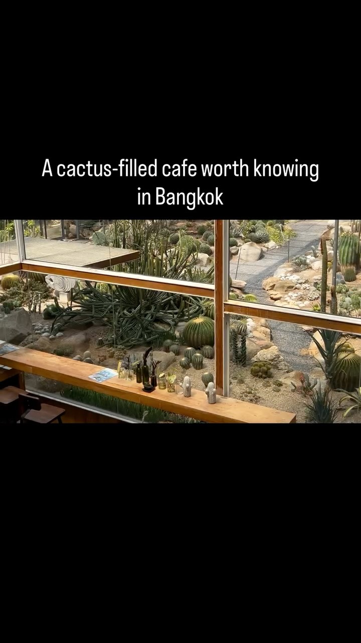 Bangkok Botanical Cafe Offers Green Oasis