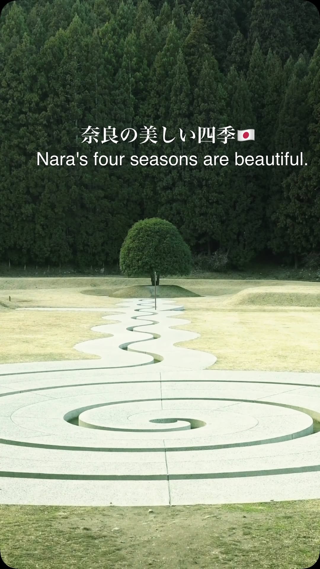 Nara's Seasonal Beauty Across Seven Scenic Spots