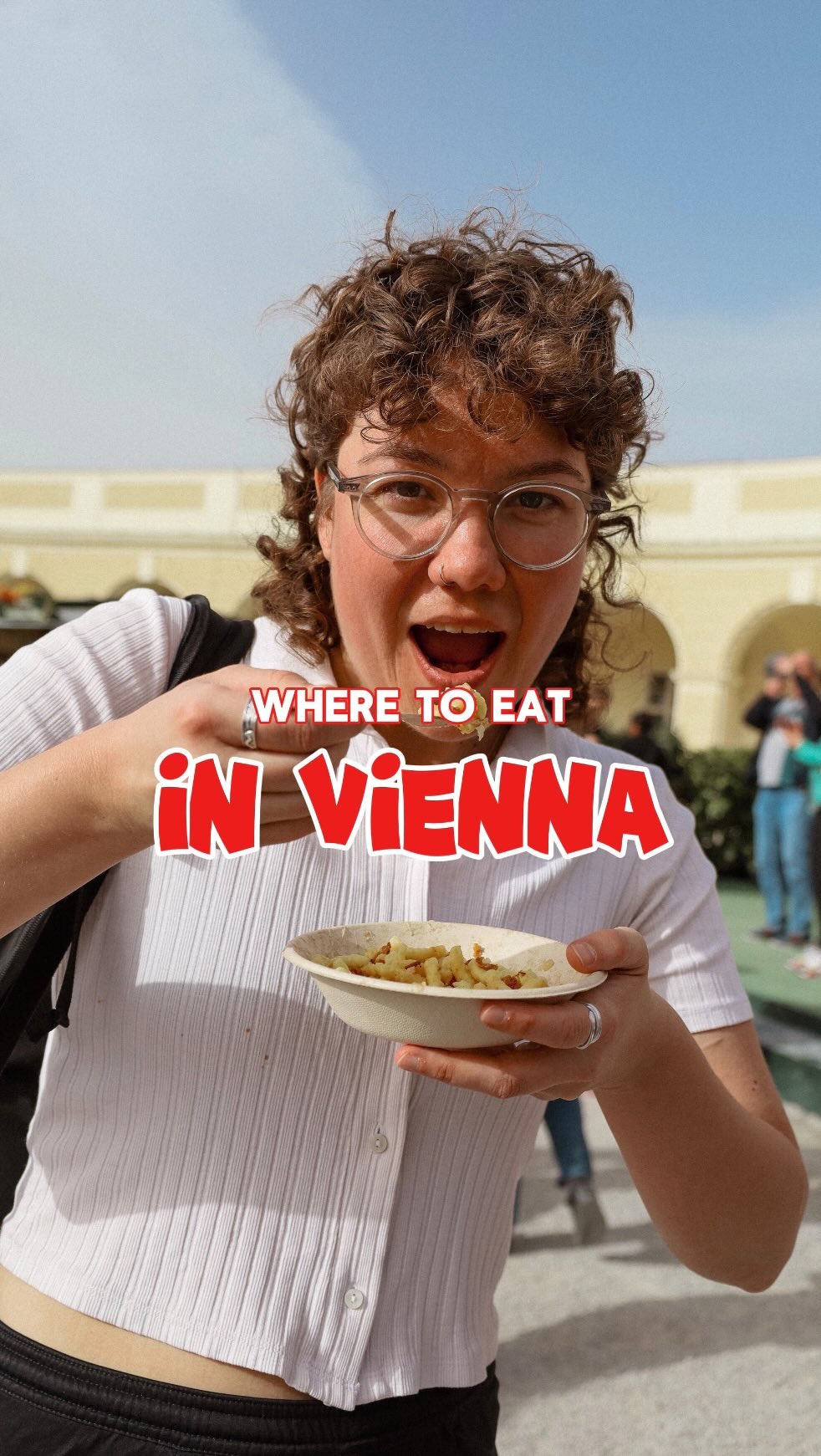 8 Restaurants in Wien