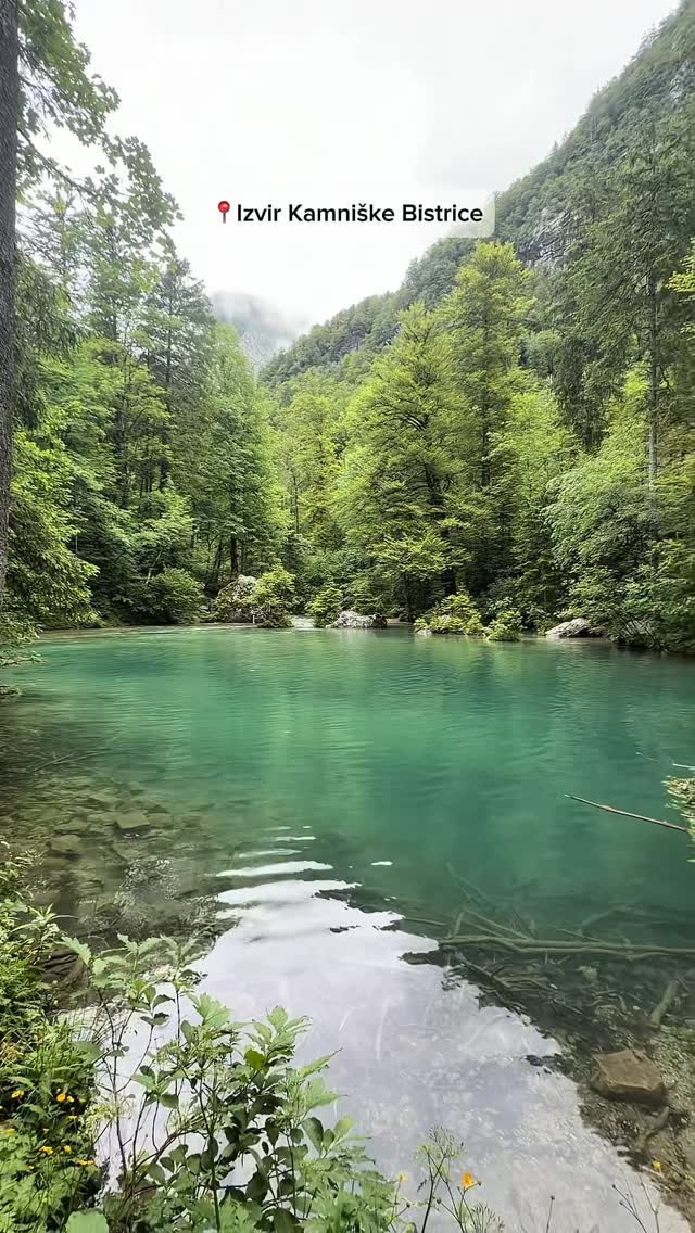 nika pernus, Izvir Kamniške Bistrice
