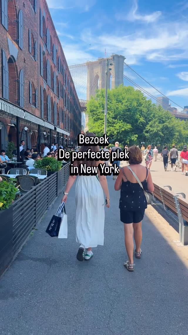 Dumbo Destinations: Rooftop Views and Dining Options