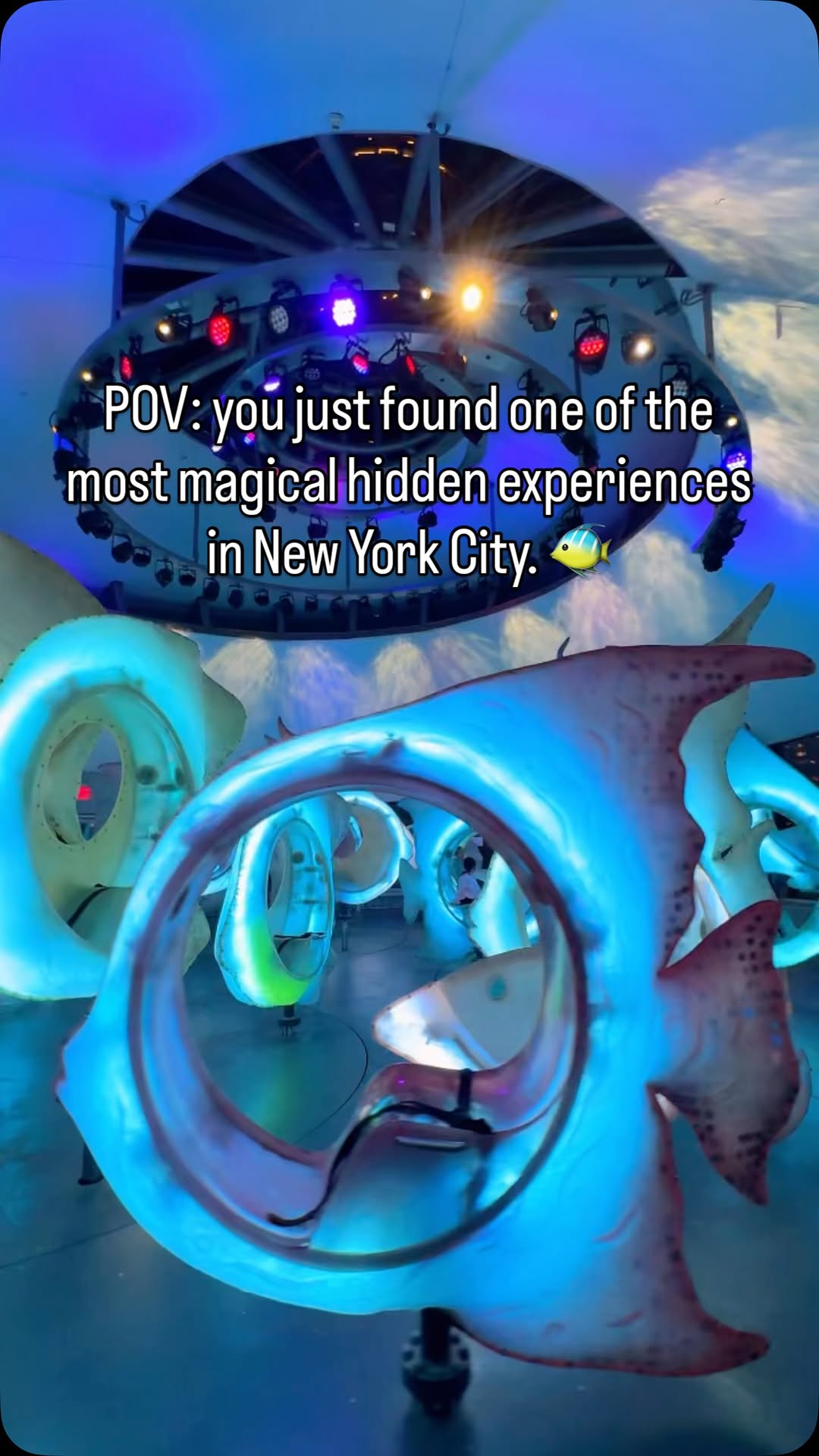 Battery Park Attractions With Underwater Themes