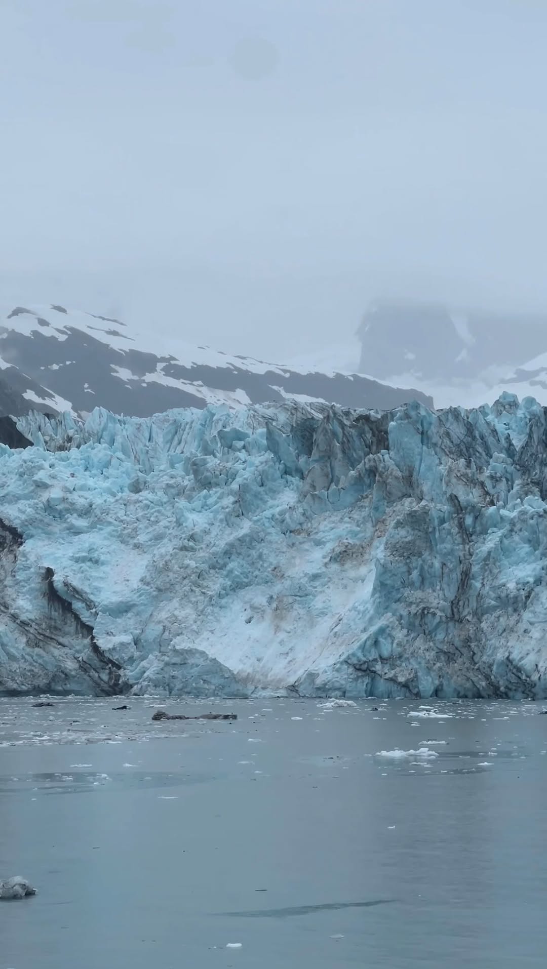 Alaska's Wild Landscapes and Wildlife Adventures