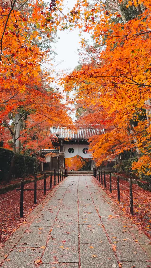 22 Attractions in Japan