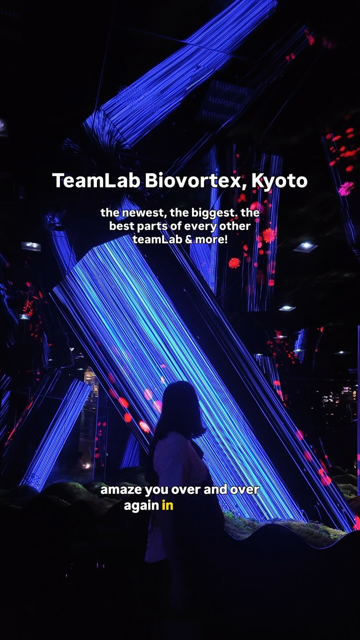 New and Expanded Immersive Digital Art Experiences