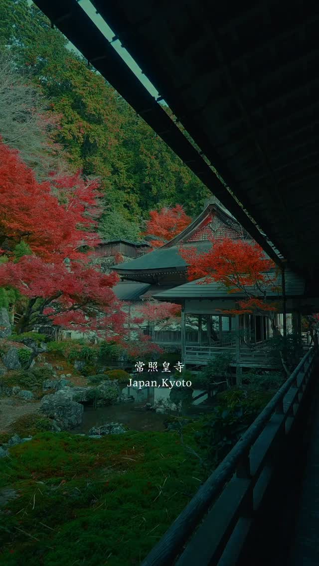 A Quiet Temple in Japan