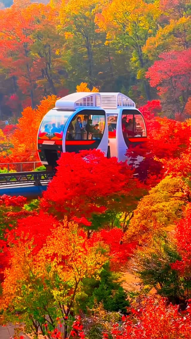 Hwadamsup and Gapyeong Begonia Bird Park