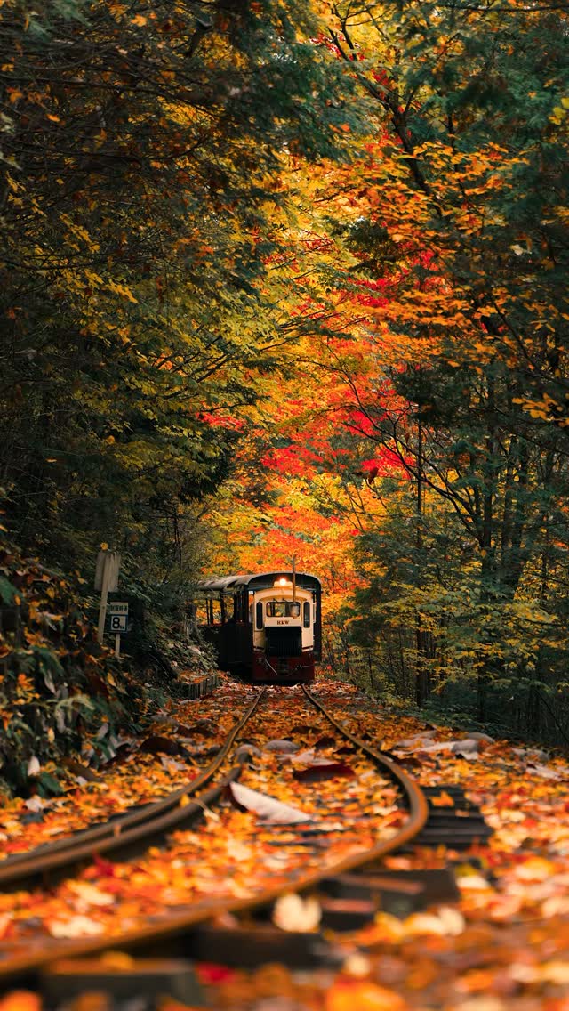 24 Attractions in Japan