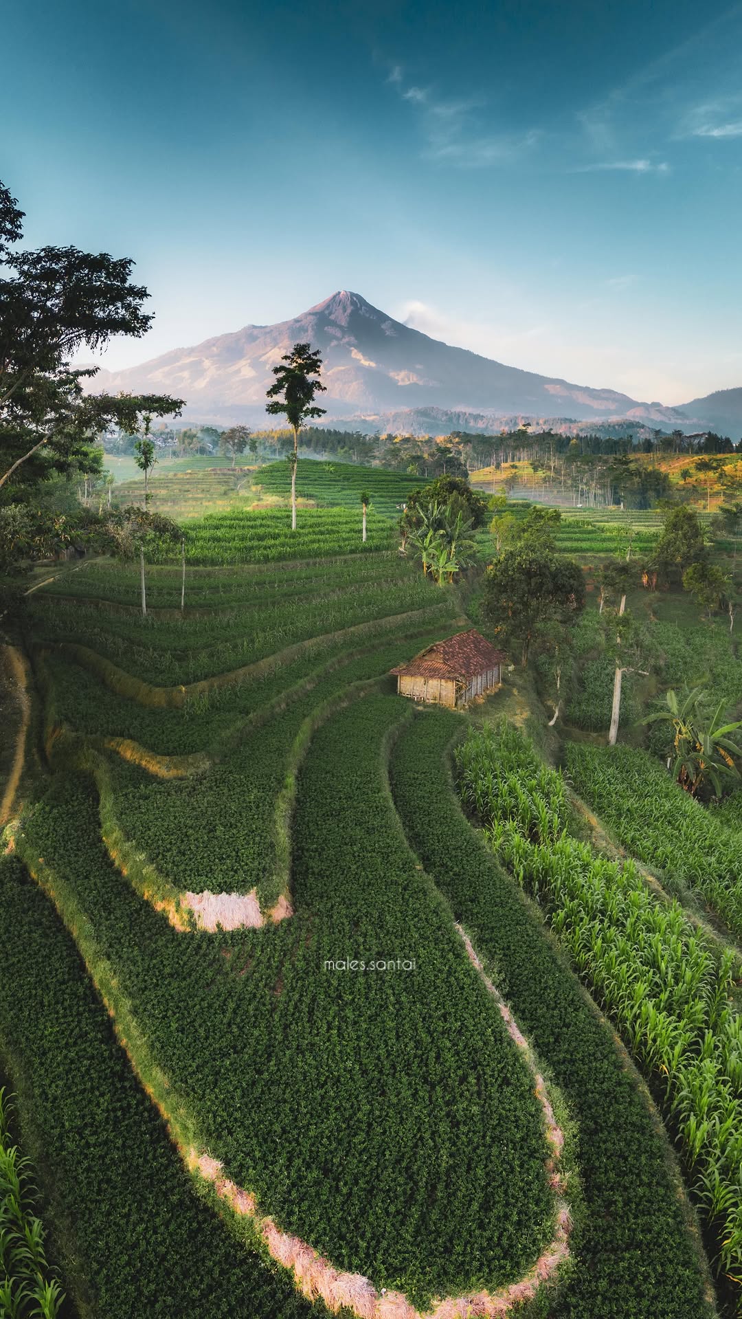 Exotic Asian Destinations: Ubud, Indonesia, and Mount Bromo