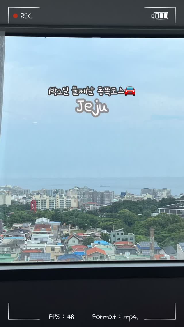 6 Cafes in Cheju
