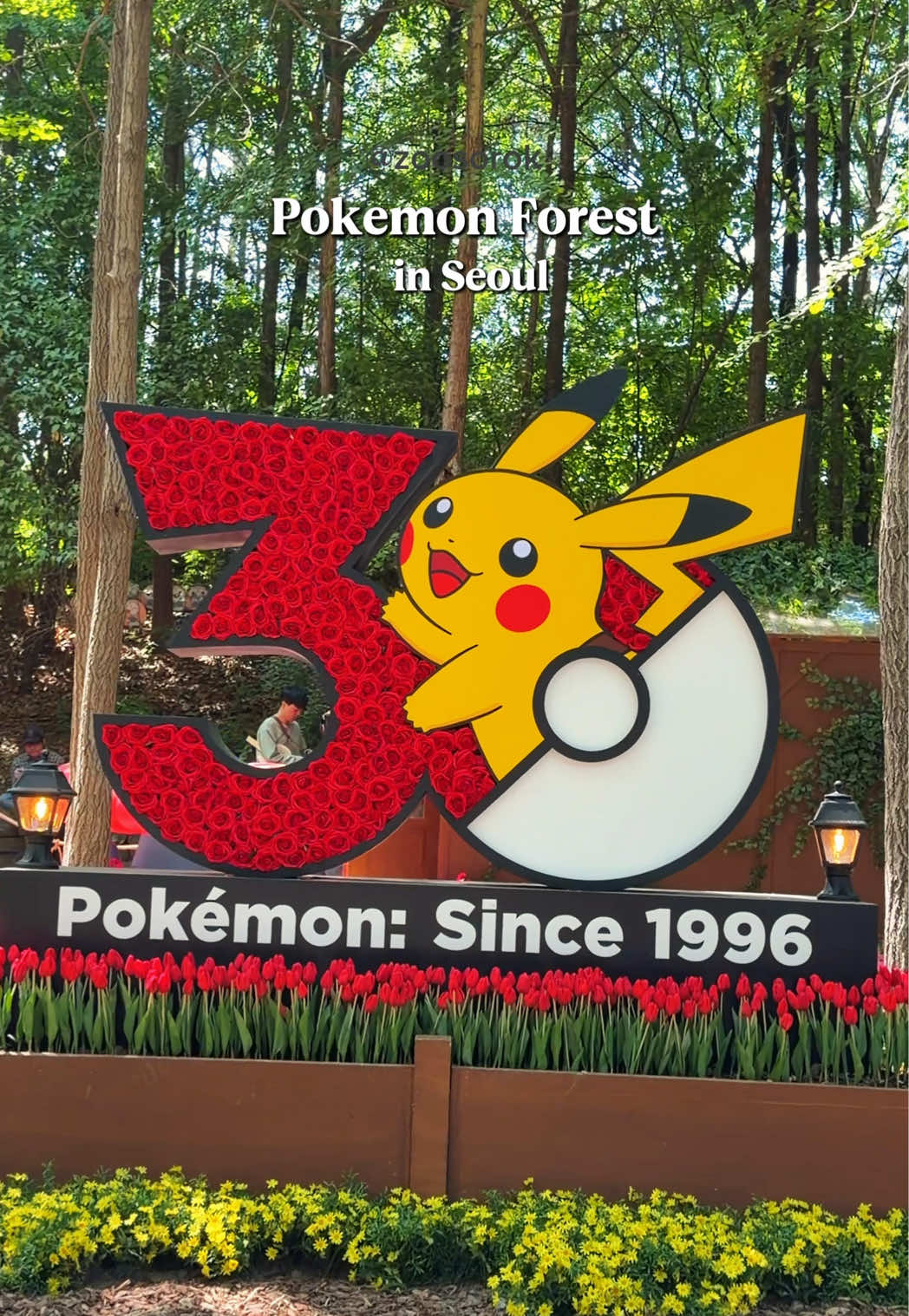 Seoul Forest Park Hosts Pokémon Celebration