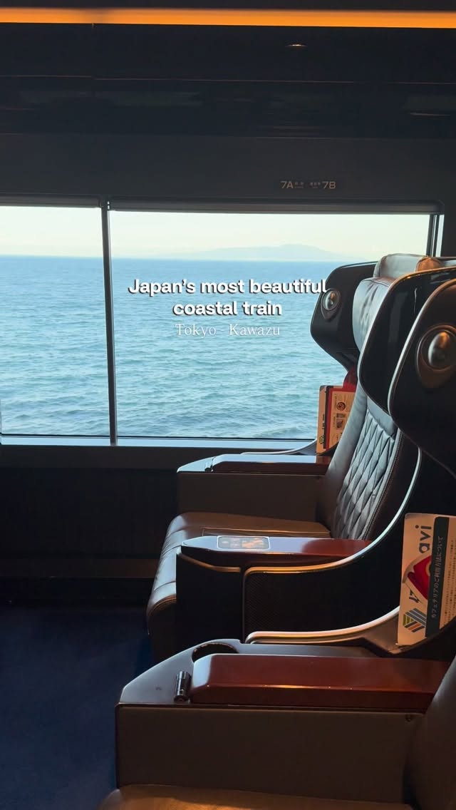 Scenic Train Ride to Kawazu's Cherry Blossoms
