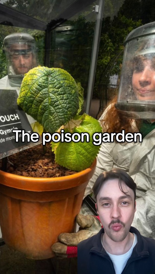 Alnwick Castle and Poison Garden