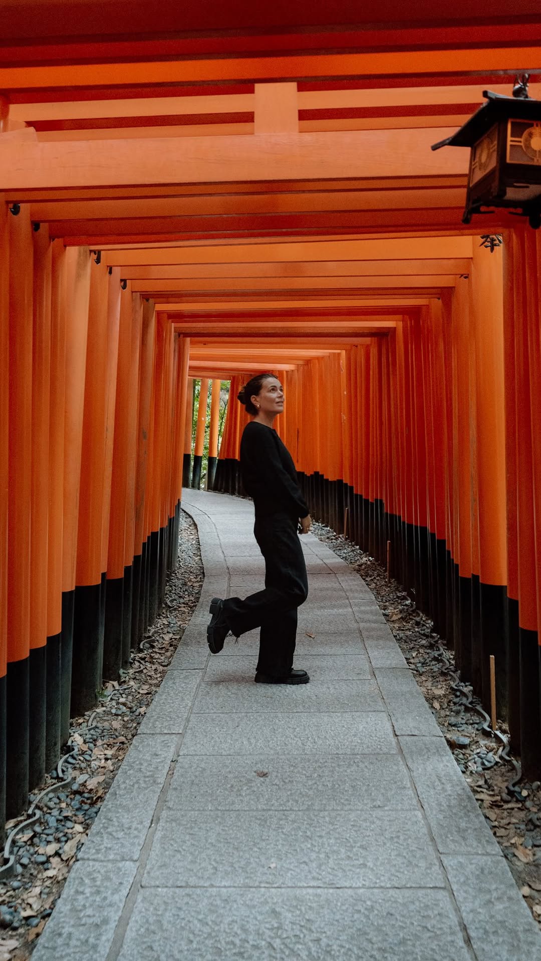 Kyoto's Best: Cafes, Gardens, Shops, and Shrines