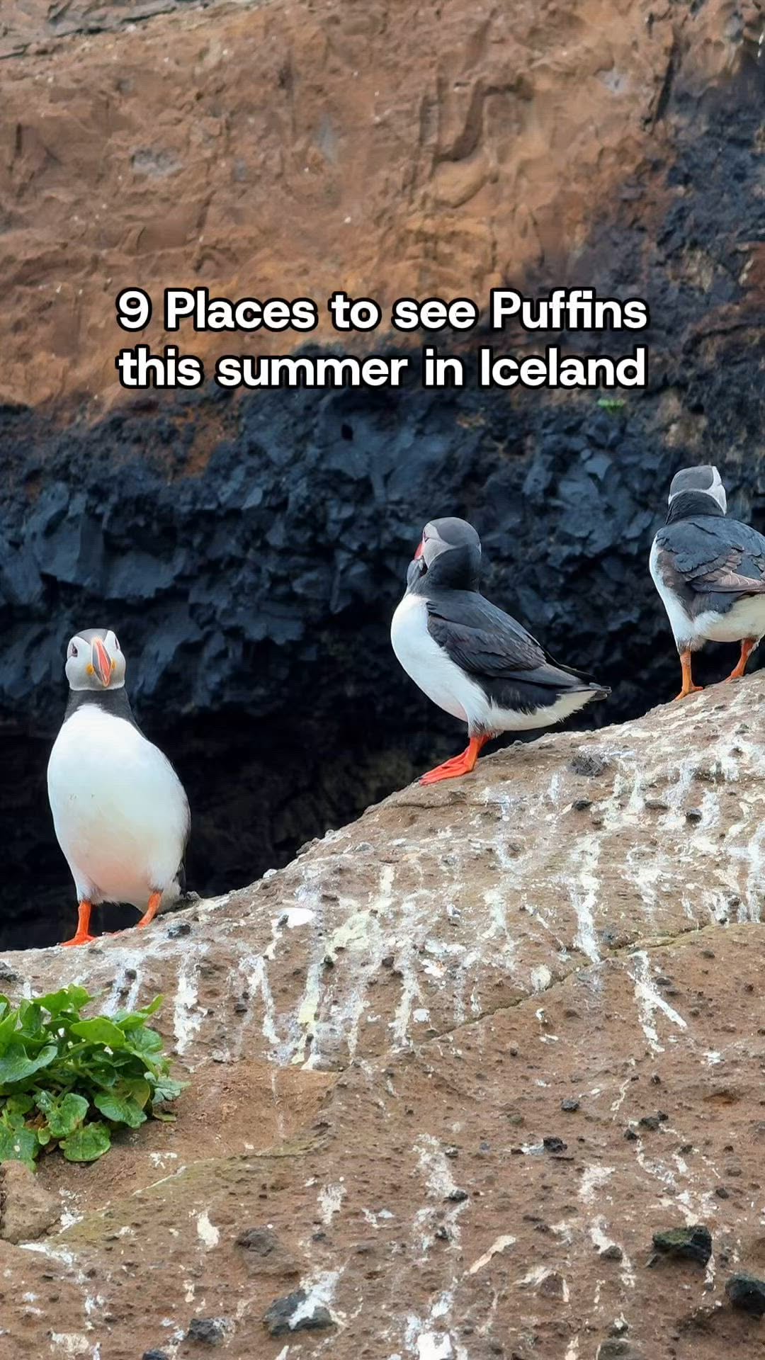 9 Attractions in Iceland