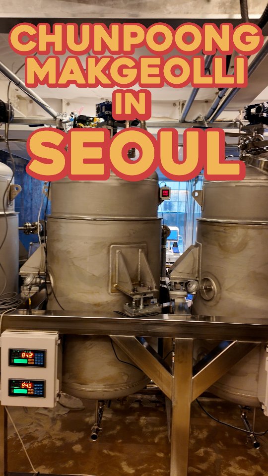 Spring Breeze Brewery: Seoul's Craft Makgeolli Destination