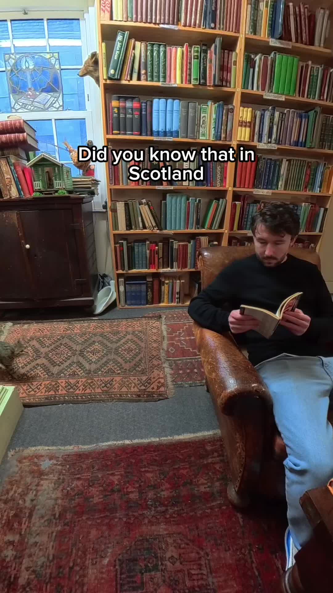 Bookstores Offering Literary Havens