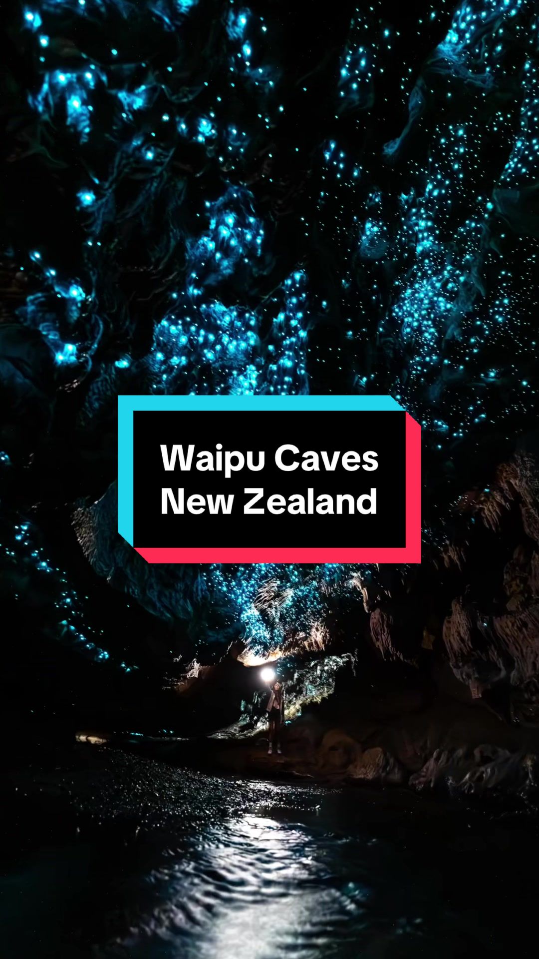 New Zealand Glowworm Caves Offer Stellar Views