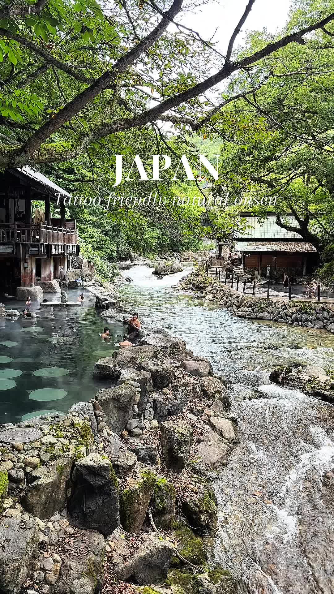 Co-ed Natural Hot Springs in Japan