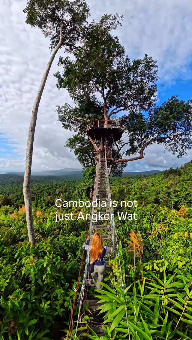 Cambodia's Nature Escapes and Island Getaways