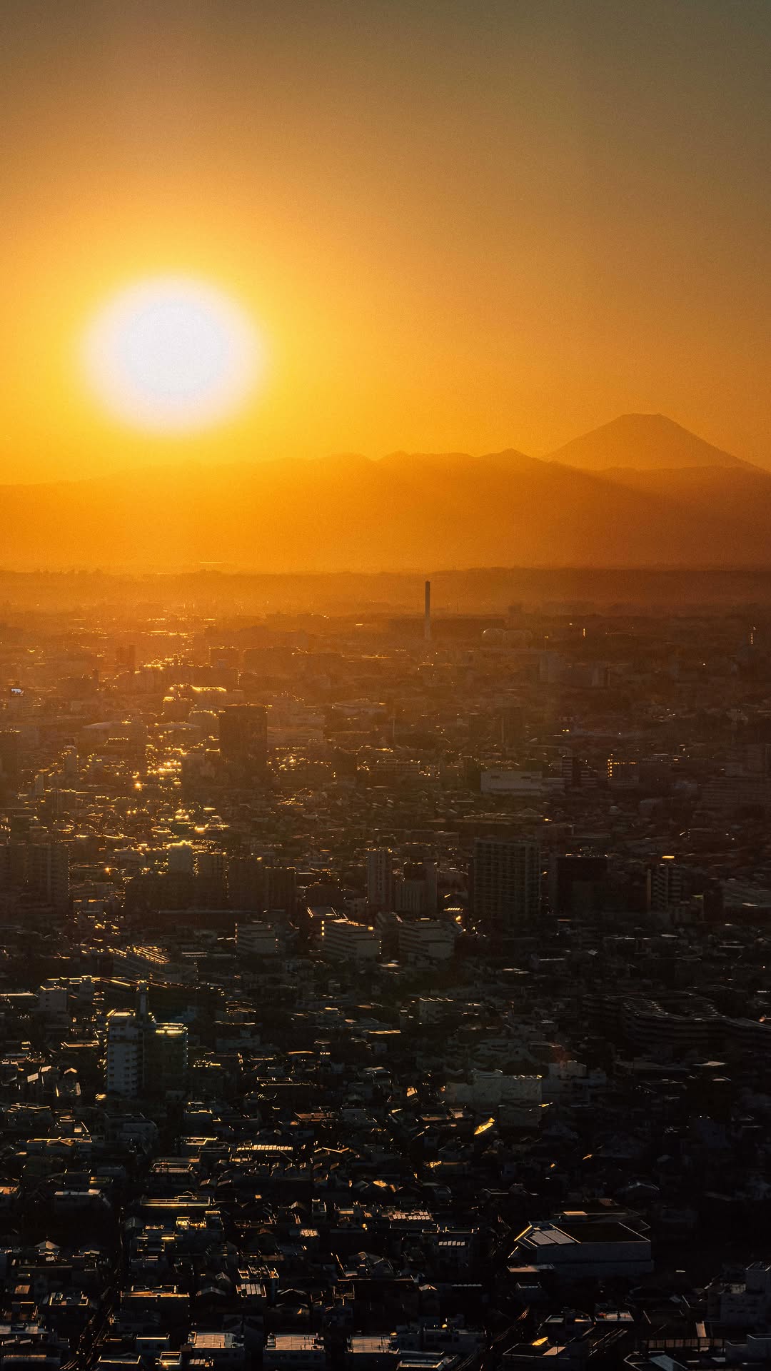 Tokyo Sights: Government Building And Mount Fuji