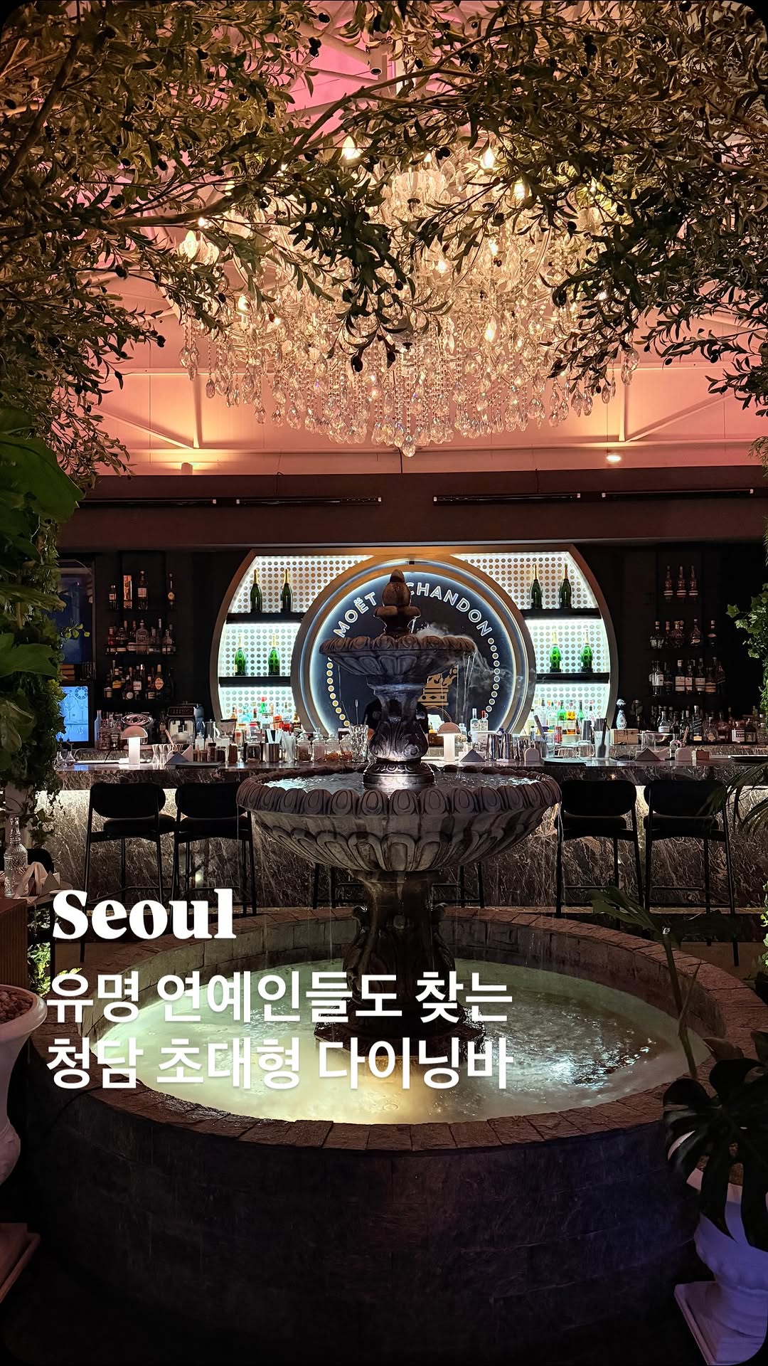 Cheongdam's Celebrity-Favorite Large Dining Bar