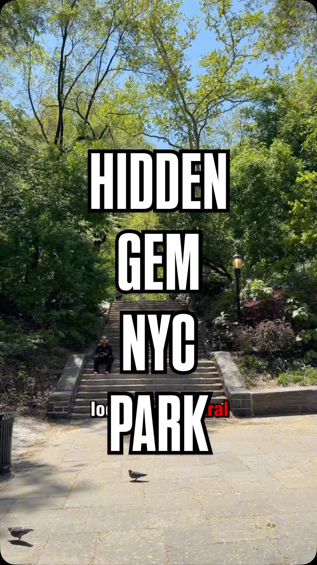 Iconic New York City Landmarks