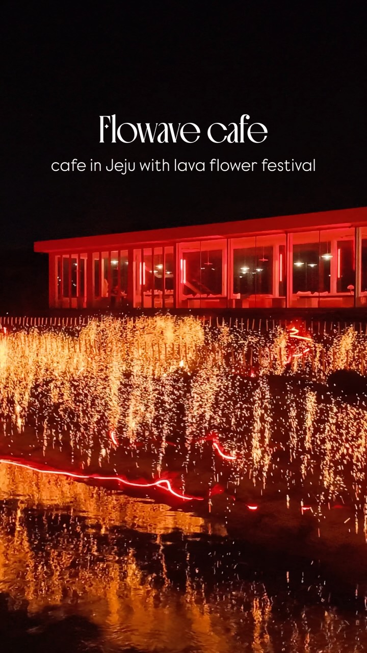 Jeju Cafe Hosts Evening Lava Flower Festival