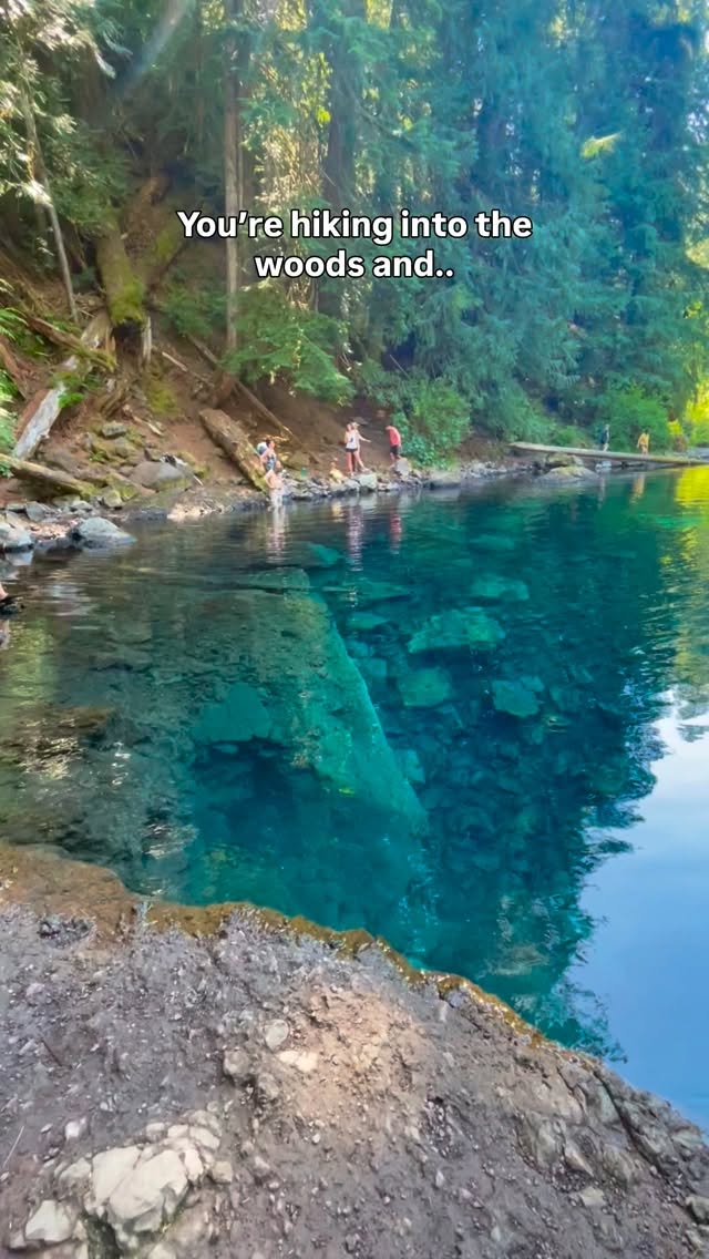 3 Hikes in McKenzie Bridge